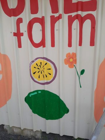 High Valley Dawn Farm's shed, september 2024, Yeppoon, Australia