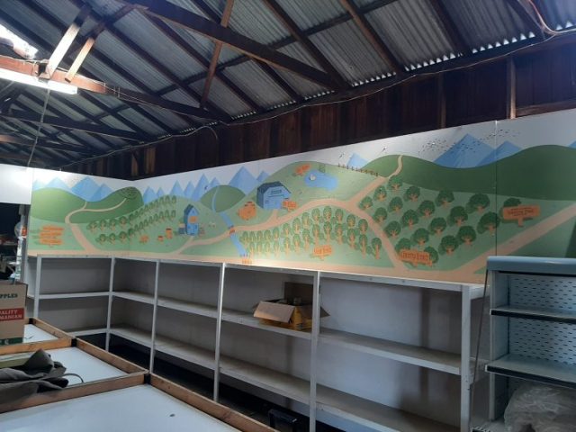 Cherry, apple and pear farm, january 2025, Dilston, Australia